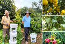 Đạm Cá DS - Hành trình trở thành thương hiệu đạm cá được nhiều bà con trên cả nước tin dùng