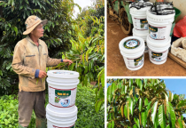 Đạm cá DS - Điểm sáng trong nông nghiệp hữu cơ bền vững