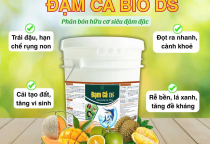 Điểm khác biệt của Đạm Cá DS so với các loại đạm cá thông thường