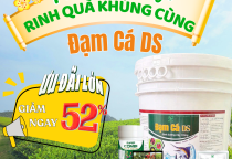 Ưu Đãi Đặc Biệt: Mừng Xuân Bính Ngọ