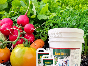 Bí Quyết Giúp Rau Xanh Tốt Cùng Đạm Cá DS