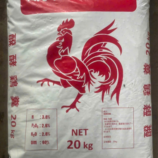 Phân nở nhập Nhật Bản